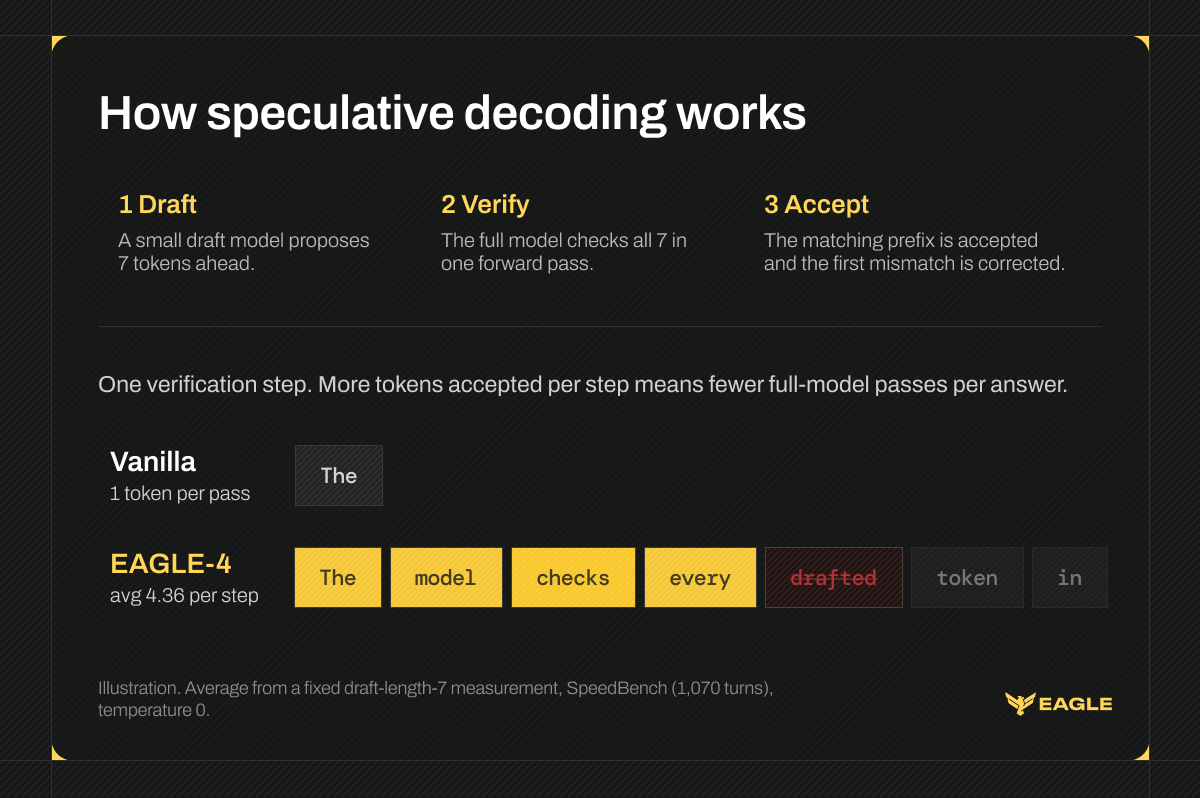 Diagram of speculative decoding in three steps: a small draft model proposes 7 tokens, the full model verifies them in one forward pass, and the matching prefix is accepted while the first mismatch is corrected. Vanilla decoding yields 1 token per pass; EAGLE-4 averages 4.36 per step.